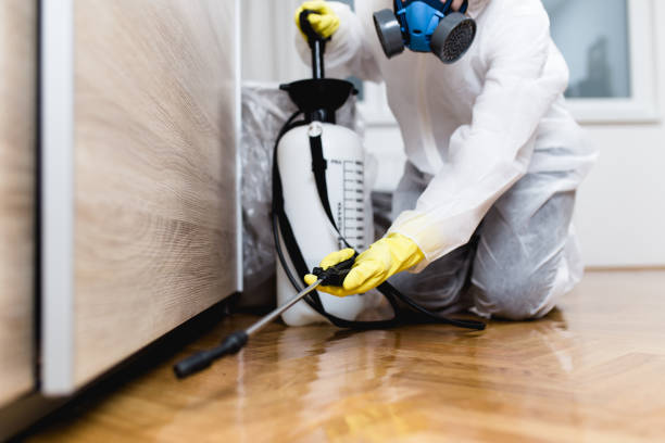 Best Termite Control Services  in Loxahatchee Groves, FL