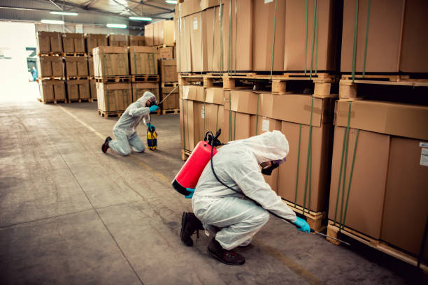 Best Best Pest Control Companies  in Loxahatchee Groves, FL