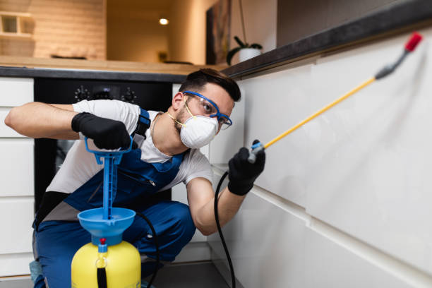 Best Bed Bug Extermination  in Loxahatchee Groves, FL