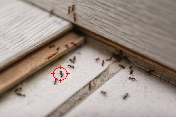 Pest Control Cost in Loxahatchee Groves, FL
