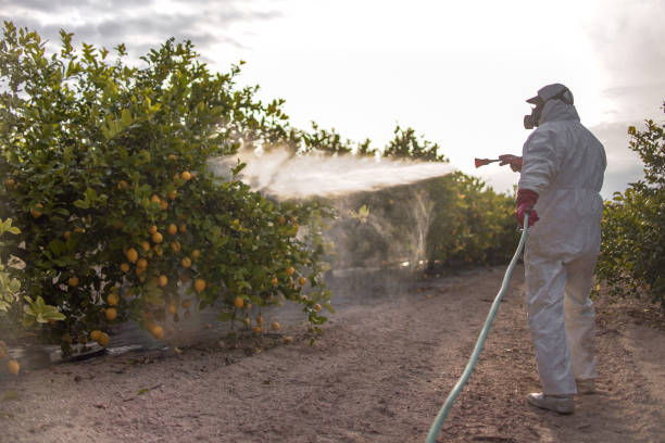 Best Cockroach Control Services  in Loxahatchee Groves, FL
