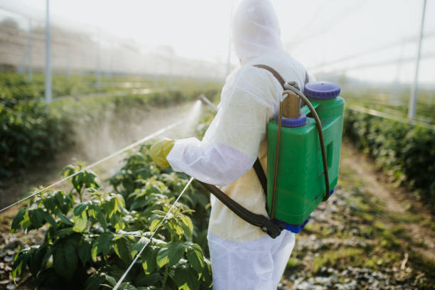 Best Pest Inspection Near Me  in Loxahatchee Groves, FL